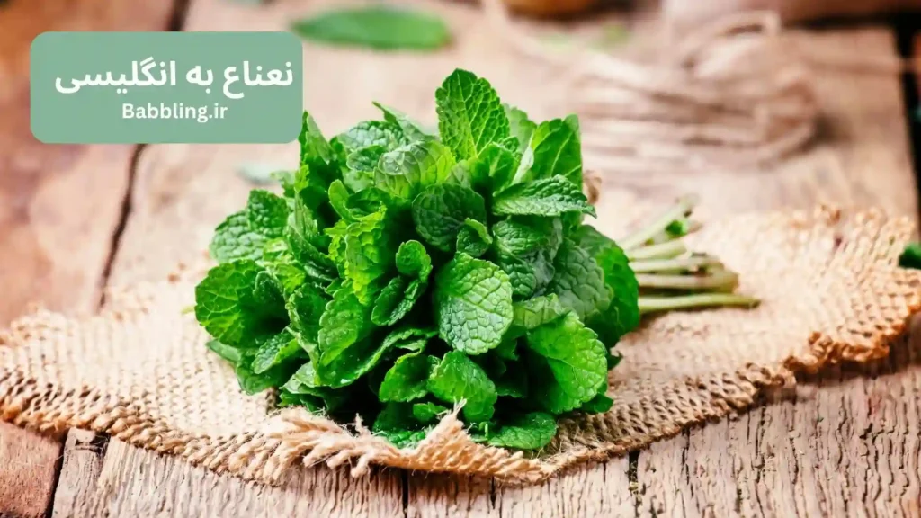 نعناع به انگلیسی
