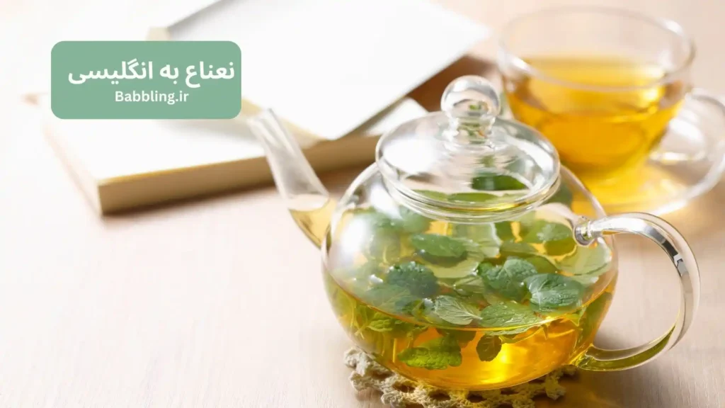 نعناع به انگلیسی چی میشه؟ معنی، تلفظ و کاربرد واژه Mint